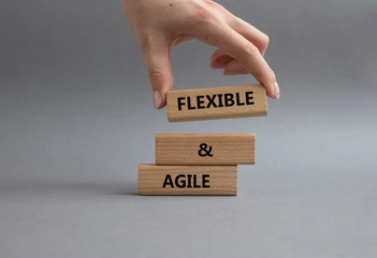Agile Solutions: Empowering Flexibility with InfoSwift